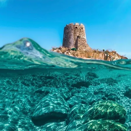 Bouganville Homes Tatil Evi