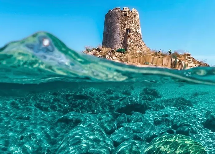 Bouganville Homes Tatil Evi